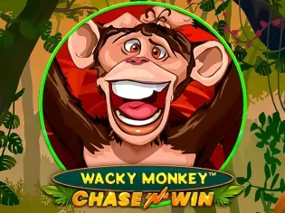 Wacky Monkey - Chase'N'Win thumbnail